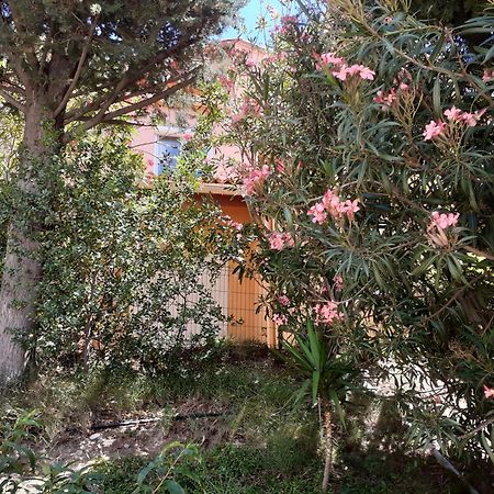 Bel Appartement Bord De Mer セルベーレ エクステリア 写真